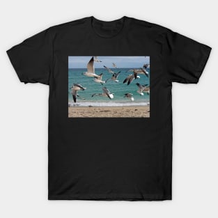 Birds in Flight Over Beach T-Shirt